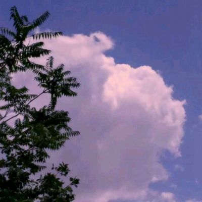 武神霸业无限元宝版下载
